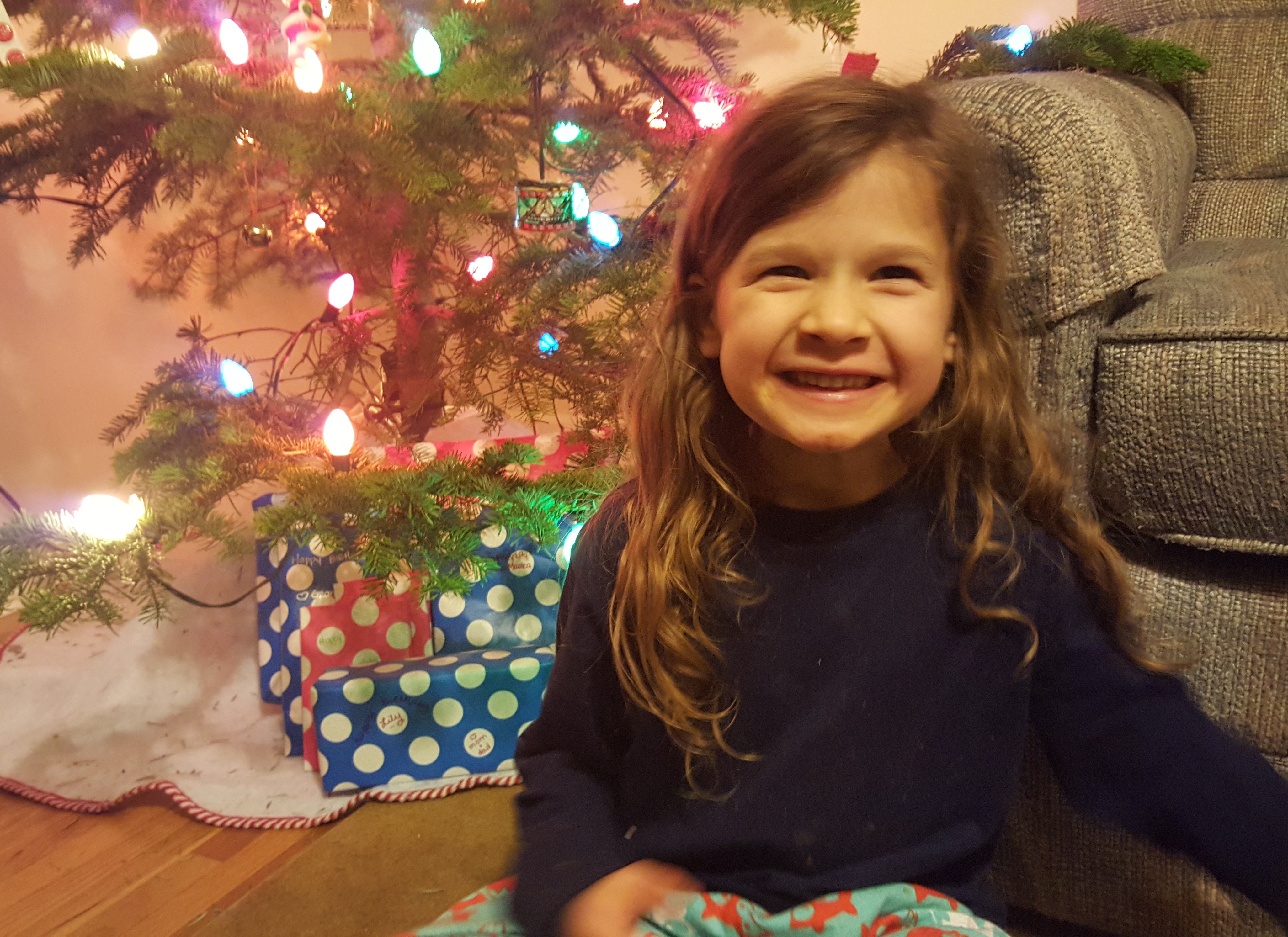 Lily by the Christmas Tree 2015
